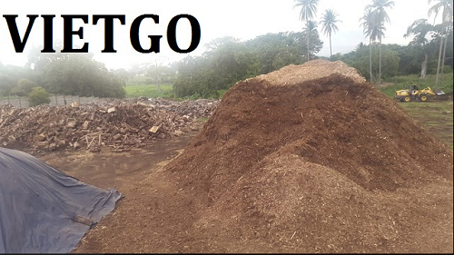 Gỗ bạch đàn vụn Vietgo
